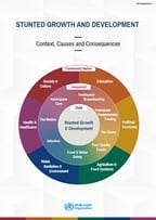 Childhood stunting framework leaflet cover