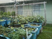 food_safety1