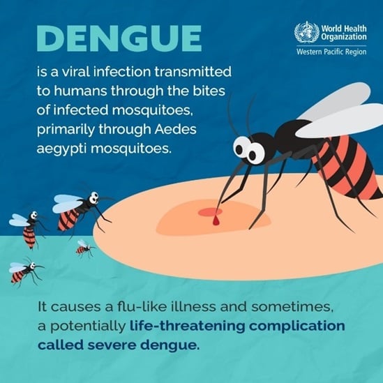 mosquito graphic of biting skin